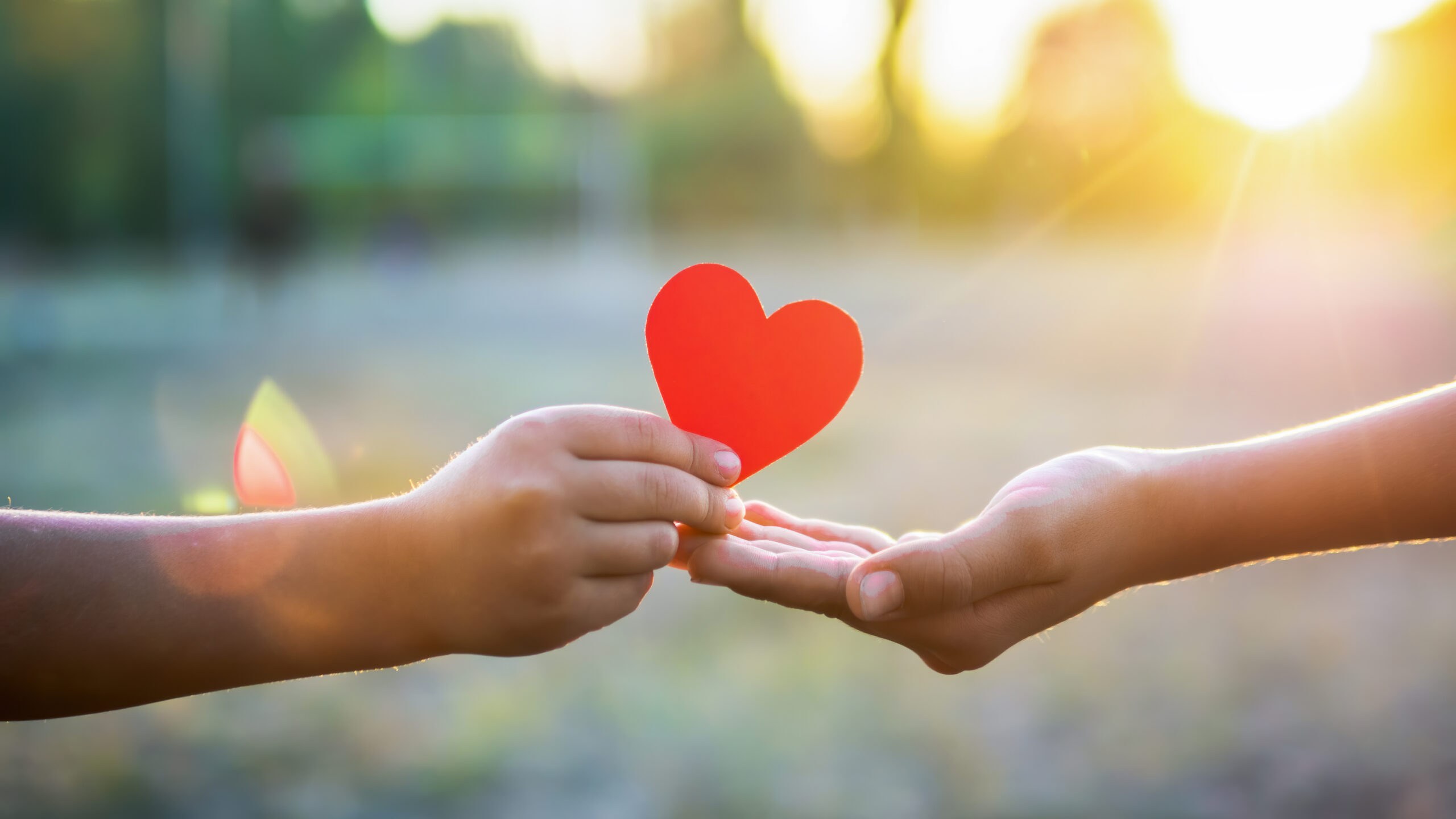 mani che si scambiano un cuore simbolo di relazione e connessione - medipthazione