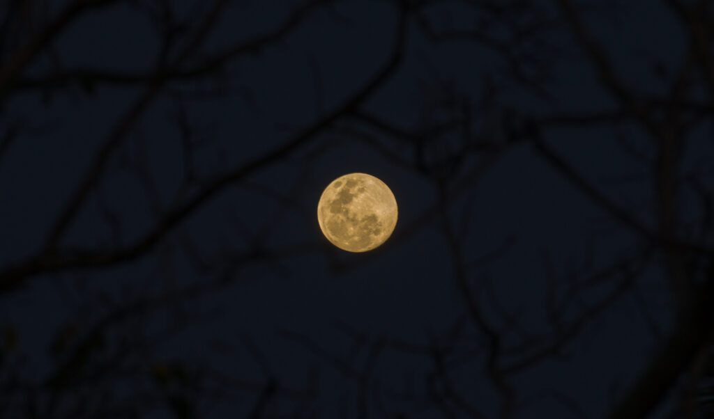 immagine luna piena